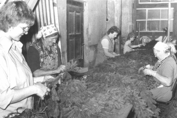 Kamenzer Forstfest, Rankewinden um 1980, Bild: Stadtverwaltung Kamenz